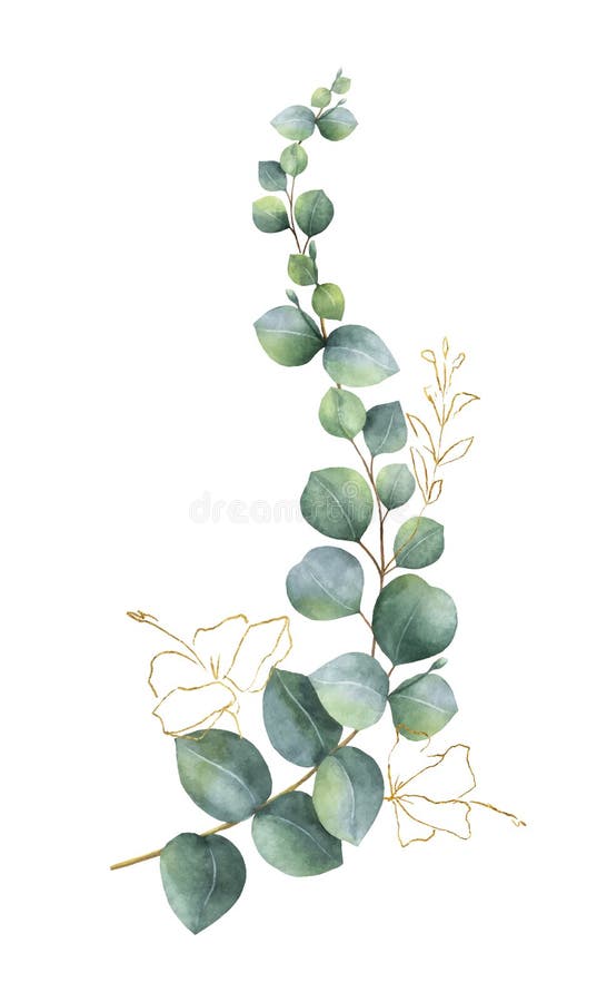 Διανυσματικό στεφάνι Watercolor με τα πράσινα φύλλα ευκαλύπτων και τα χρυσά στοιχεία ελεύθερη απεικόνιση δικαιώματος